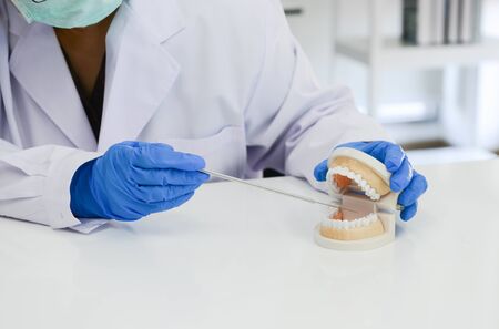 Doctor is demonstrating dental treatment with tooth model