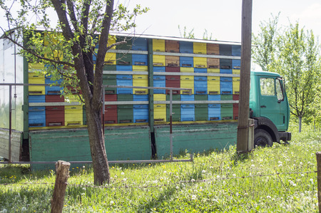 Photographed beehives in the meadows of northern Bosnia and Herzegovina.の写真素材