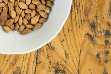 Photographed apricot seeds in sunlight.の写真素材