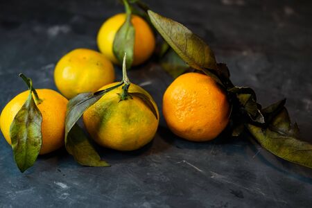 selective focus, yellow-green tangerines on a branchの写真素材