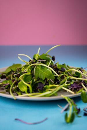 selective focus, salad of micro greens, healthy sproutsの写真素材