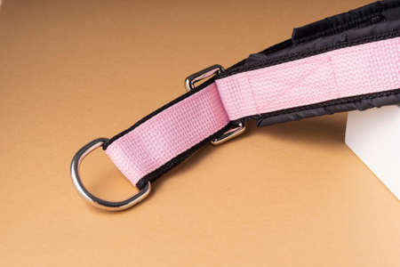 selective focus, soft everyday collar for large dogs, color. with metal mounting rings