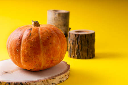 selective focus. a small orange fresh pumpkin, copyspace, a blank for Halloween. on a plain backgroundの写真素材