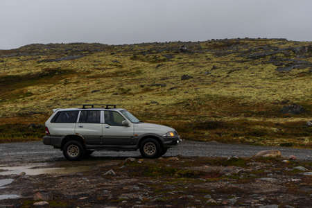 long-distance travel by big car. the road along the nature. copyscape