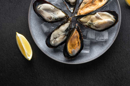 mussels freshly frozen on a plate with ice, on a dark background, copyspace. Expensive delicacyの写真素材