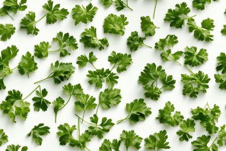 Parsley on white background. Flat lay, top view.の素材