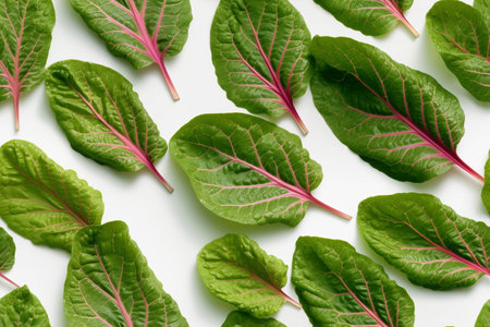 Fresh chard leaves isolated on white background. Flat lay, top viewの素材