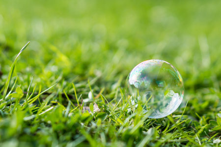 Soap bubble in the meadowの写真素材