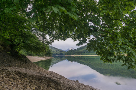 Wiestalstausee under the treeの写真素材