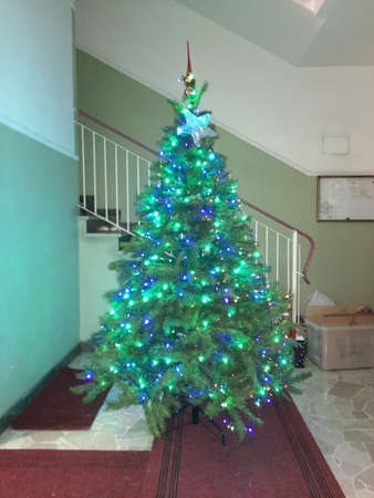 christmas tree with lights and colorful decorationsの写真素材