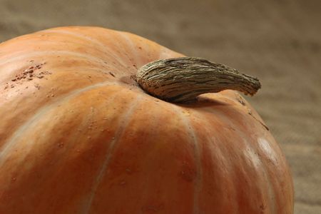 pumpkinの写真素材