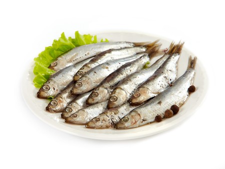 anchovyの写真素材