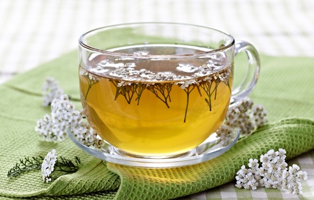 cup of fresh herbal teaの写真素材