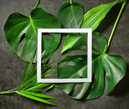 various tropical leaves and white paper frame on dark grey table, top viewの写真素材