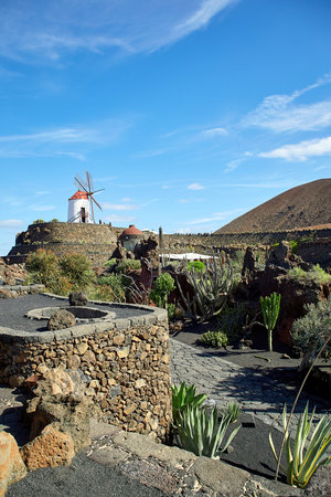 Lanzarote, Spain - DECEMBER 02, 2017: Tourists are walking in  Cactus garden Jardin de Cactus, Canary Islandsのeditorial素材