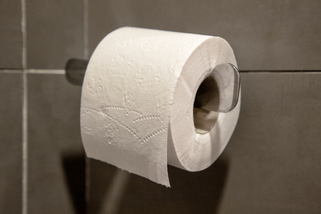 Toilet paper roll on grey wallの写真素材