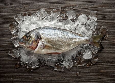 fresh raw dorado fish on ice, top viewの写真素材