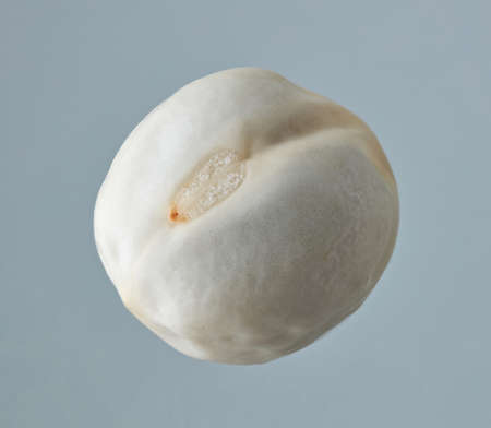dried peas seed macro isolated on grey backgroundの写真素材