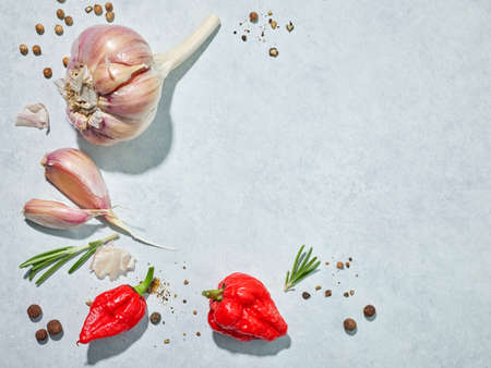garlic and spices on blue background, top viewの写真素材