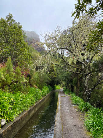 beautiful Madeira landscape with Folhadal levadaの写真素材