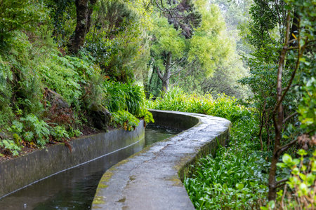 beautiful Madeira landscape with Folhadal levada
