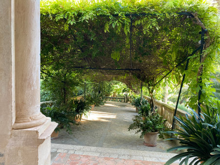 beautiful Alfabia garden in Mallorca at sunny day, Spainの写真素材