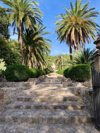 beautiful Alfabia garden in Mallorca at sunny day, Spain