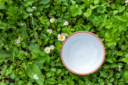 empty white bowl on green plant leaves background, top viewの写真素材