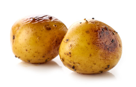 boiled and roasted potatoes isolated on white backgroundの写真素材