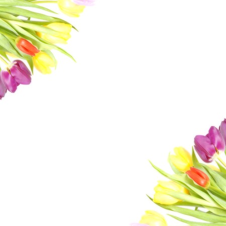 bouquet of tulips, 
の写真素材