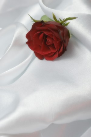 flowerの写真素材
