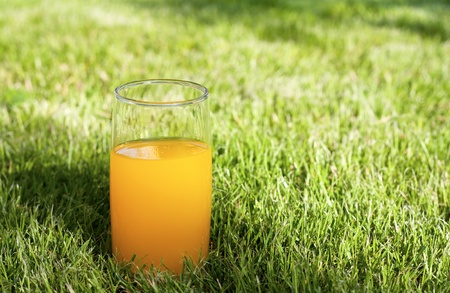 Fresh orange juice on the grassの写真素材