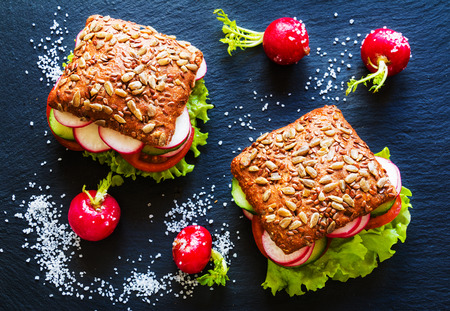 Veggie burgers (green salad, cucumber, tomato, radish) on dark background. Top view.の写真素材