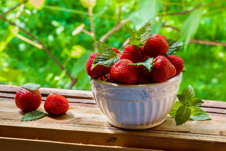 Fresh strawberries in white vintage bowl on old wooden boards. Green plants from garden as a background. Sunlight, summer day.の写真素材