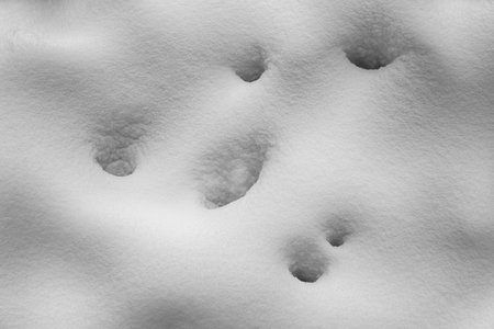Abstract snow texture. Beautiful winter landscape. Black and white photography.