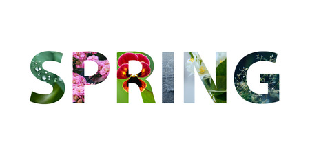 Colorful sign on white background. Word spring with colorful spring images inside the lettersの写真素材