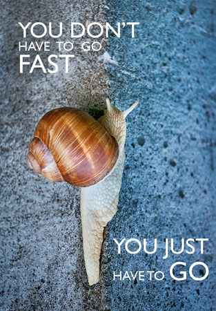 Inspirational quote with words you don't have to go fast you just have to go. Large snail crawling on a stone wallの写真素材