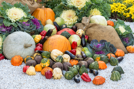 Freshly harvested summer vegetables. Large harvest of different vegetables outdoorの写真素材