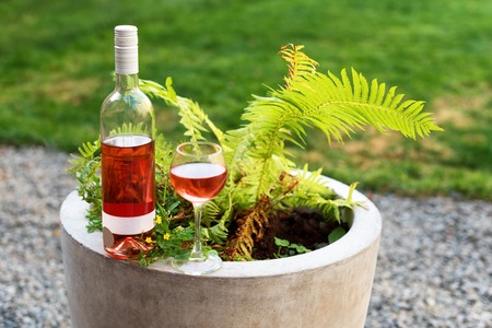 One glass and bottle of red or rose wine in autumn vineyard. Harvest time, picnic, fest themeの写真素材