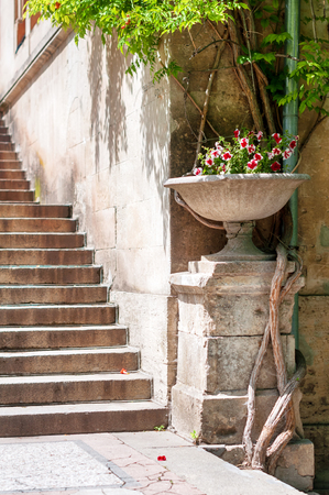 Cozy patio with small garden in museum of Chersonese. Sevastopol, Crimeaの写真素材