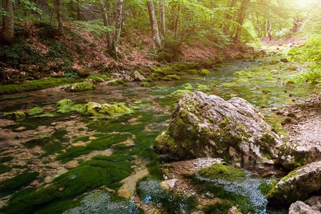 Forest stream running over mossy rocks. The mountain river in Crimeaの写真素材