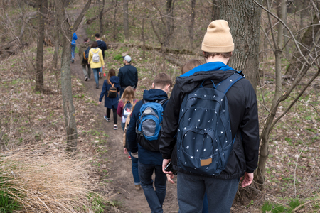 Group of friends walking with backpacks in spring forest from back. Backpackers hiking in the woods....