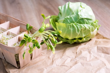 Mixed organic micro greens and cabbage on craft paper. Fresh sunflower and heap of alfalfa micro...