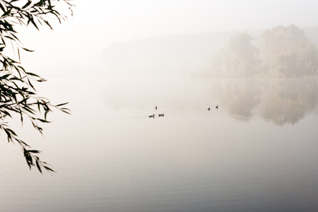 Morning mist over the lake with reflection in the water. Fog on a riverの写真素材
