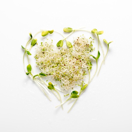 Micro greens arranged in shape of heart on white background. Sunflower sprouts, lucerne, microgreens. Flat lay. Nature and healthy food, diet, eco concept.の写真素材