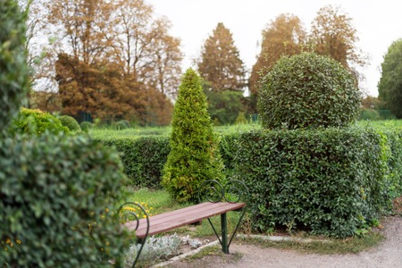 Park with shrubs and green lawns, landscape design. Topiary, green decor in the park.の写真素材