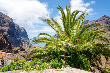 Roadside cross under the palm tree showing where a death by automobile occurredの写真素材