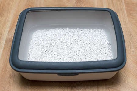 Cat litter box with clumping clay on wooden floorの写真素材
