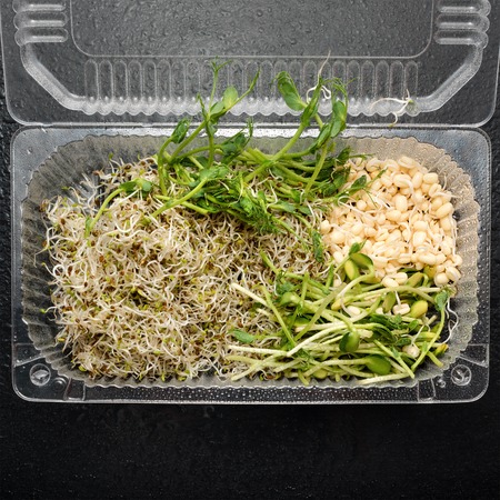 Different types of micro greens in plastic container on black background. Healthy eating concept of fresh garden produce organically grown as a symbol of health and vitamins from nature. Microgreens packed for fringe storage or sale.の写真素材