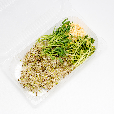 Different types of micro greens in plastic container on white background. Healthy eating concept of fresh garden produce organically grown as a symbol of health and vitamins from nature. Microgreens packed for fringe storage or sale.の写真素材